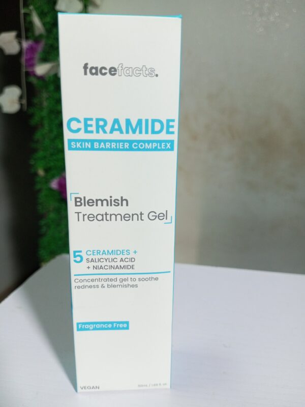 FACE FACTS CERAMIDE BLEMISH TREATMENT GEL