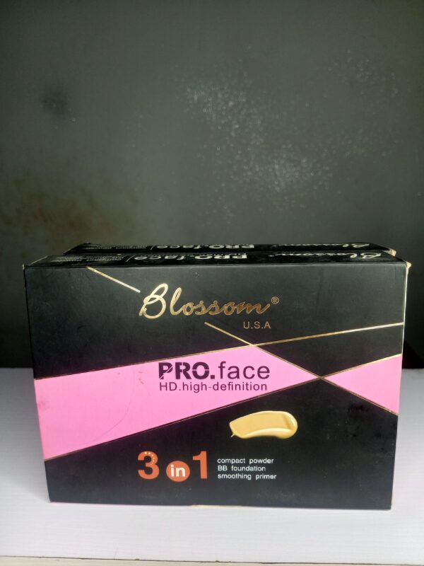 PRO.FACE 3 IN 1 COMPACT POWDER BB FOUNDATION